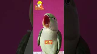 Talking Mummy ek glass pani de do mainmummy Funny parrot videoyoutubeshorts [upl. by Ahsaf328]