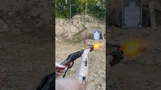 Chiappa Mares Leg 357 Magnum ASMR [upl. by Ardis]