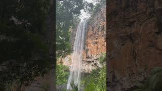 Amazing water falls in Gold Coast AustraliaPurling Brook Fallsnaturelovers pinaylifeinaustralia [upl. by Eiramesor]