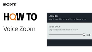 Tips Video  Voice Zoom [upl. by Anin]