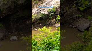 Churni waterfall II Hidden gem of Jharkhand shortvideo shorts [upl. by Nahs]