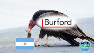 Burford Capital vs Argentina The MultiBillion Dollar Showdown Explained [upl. by Greenburg]