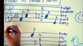 How to Read Music  Basics for Beginners  Music Theory Lesson [upl. by Anikahs]