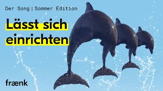 fraenk  Werbung Song  Lässt sich einrichten  Sommer Edition Voll digital amp von überall [upl. by Zednanreh]