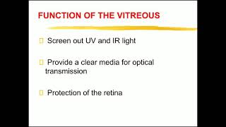 Vitreous humor [upl. by Archibald]