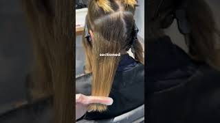 balayageshwarzkopffoilagebalayagetutorialsbalayagehighlightsbalayageblondeblondehairtips [upl. by Aticilef]