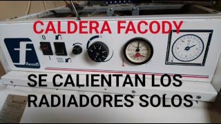 💥 Tu RADIADOR no CALIENTA 💥 SOLUCIÓN FÁCIL [upl. by Niowtna]