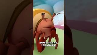 Octonauts  Hermit Crab Shells 🦀🐚  Underwater Sea Education  shorts [upl. by Brady]