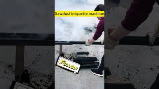 sawdust briquettemachine briquette briquettes briquettecharcoal charcoalmachine wood [upl. by Eberly]