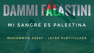 Mi sangre es Palestina  Dammi Falastini 🇵🇸 Dabke 📿 [upl. by Peppie]