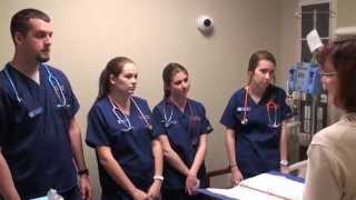 Choose Nursing at Widener [upl. by Nirtiac]