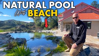 Natural Swimming Pool with Sand Beach  Using Biological Filtration [upl. by Halimeda686]