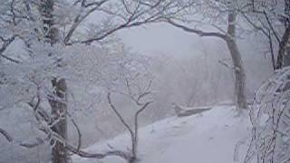 2010年 4月16日 塔ノ岳から丹沢山 雪深し [upl. by Cuda]