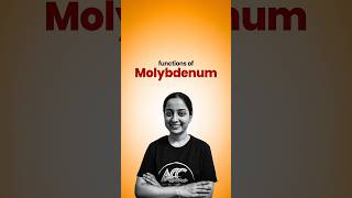 Functions of Molybdenum [upl. by Reece]