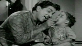 Zamindar Movie Songs  Kasturi Ranga  ANR  Krishna Kumari [upl. by Decca]