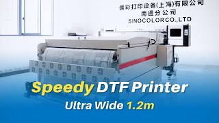 Ultra Wide 12m DTF Garment Printer DTF1200S [upl. by Carlstrom]