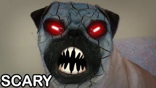 Demon Pug dog scary face [upl. by O'Neil121]