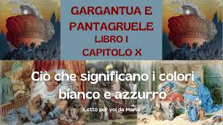 GARGANTUA E PANTAGRUELE Libro 1° Cap 10 [upl. by Brout]