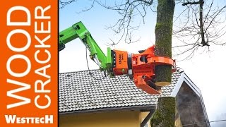 Merlo Roto  Greifersäge Woodcracker CS580smart [upl. by Markson]