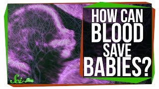 How Can One Persons Blood Save 2 Million Babies [upl. by Rosenblum]