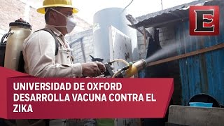 Investigadores mexicanos buscan vacuna contra el zika [upl. by Ecirtnahs]