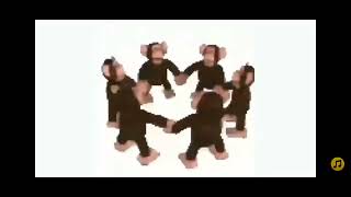 monkey dancing official music video [upl. by Haneekas529]