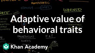 Adaptive value of behavioral traits  Behavior  MCAT  Khan Academy [upl. by Magdalena]