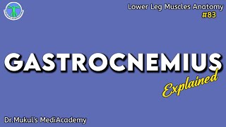 Gastrocnemius Muscle EXPLAINED83 [upl. by Codee]