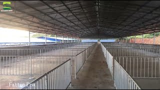 We can provide professional pig farm design planFREE [upl. by Elconin720]