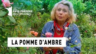 La pomme dAmbre  Région PACA  Le jardin préféré des Français [upl. by Rois520]