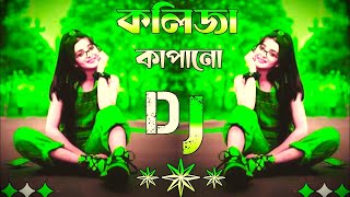 Bangla Dj Song 2024 TikTok Viral Song কষ্টের ডিজে গানDj Gan [upl. by Winifield]