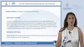 AUTOMOTIVACIÓN Motivación Intrínseca y Extrínseca [upl. by Dulcea]