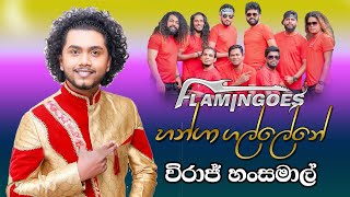 Hanga Gal lene හන්ගා ගල් ලෙනේ  Viraj Hansamal Live Performance With Ahungalla Flamingoes [upl. by Armalla]