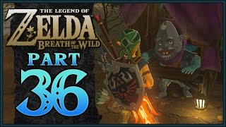 The Legend of Zelda Breath of the Wild  Akkala Maze Shrine  Part 36 [upl. by Nickola]