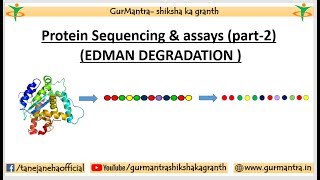 PROTEIN SEQUENCING amp ASSAYS  EDMAN DEGRADATION METHOD  PART2 [upl. by Asiel860]