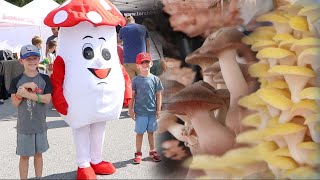 Mushroom festival celebrates famous Pennsylvania farm town [upl. by Farro]