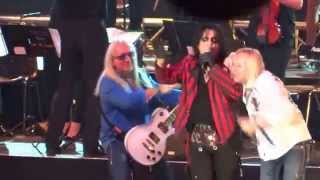 Muppets  Alice Cooper  Schools Out [upl. by Tarra810]