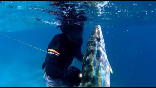 Best Catch so far on Bad Weather Spearfishing Panglao [upl. by Rehpotirhc]