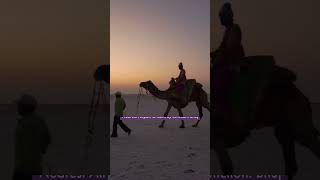 Best time to visit Rann of Kutch  Rann of Kutch  Best places to visit in Gujarat [upl. by Delp268]