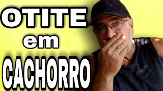 COMO TRATAR OTITE EM CACHORRO [upl. by Kelwin]