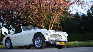 2 years restoring Austin Healey 3000 MkII [upl. by Won660]