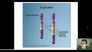 Chromosomal Mutations [upl. by Halverson]