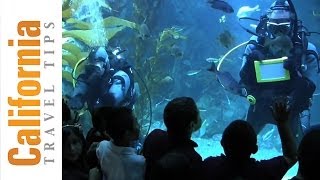 California Science Center  Los Angeles Travel Guide  California Travel Tips [upl. by Hiroko291]