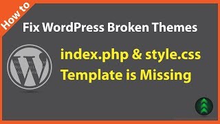 How to Fix WordPress Broken Themes [upl. by Dwinnell802]