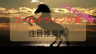 【地方競馬重賞予想】2023年11月28日名古屋11Rゴールドウィング賞 [upl. by Svetlana]