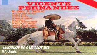 VICENTE FERNANDEZ CORRIDOS DE CABALLOS MIX [upl. by Ahsikram]