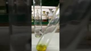 Test for phenolic group Neutral Ferric chloride test [upl. by Stacie]