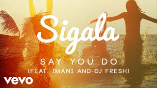 Sigala  Say You Do Official Audio ft Imani Williams DJ Fresh [upl. by Nitaj]