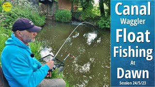 Simple Canal Float Fishing At Dawn  Mixed Bag on The Waggler amp Update  24523 Video 406 [upl. by Luhar]