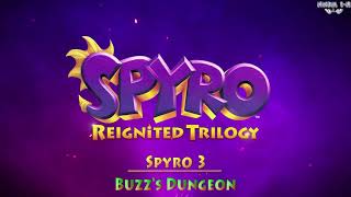 Spyro Reignited Trilogy  Buzzs Dungeon Fanmade [upl. by Mueller453]